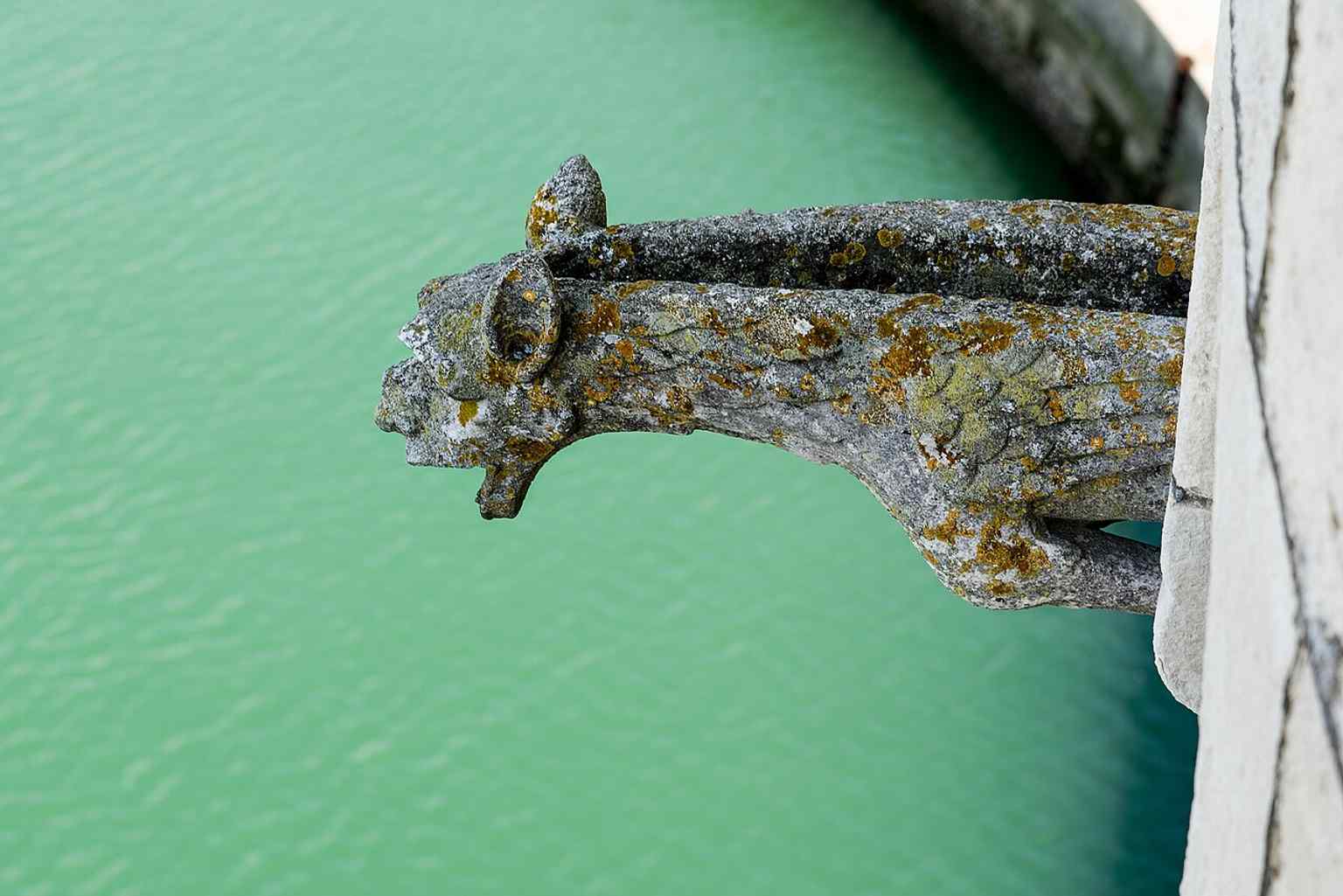 A close view of a gargoyle, linking the tower’s decorative stonework to its defensive, rain-shedding medieval architecture.