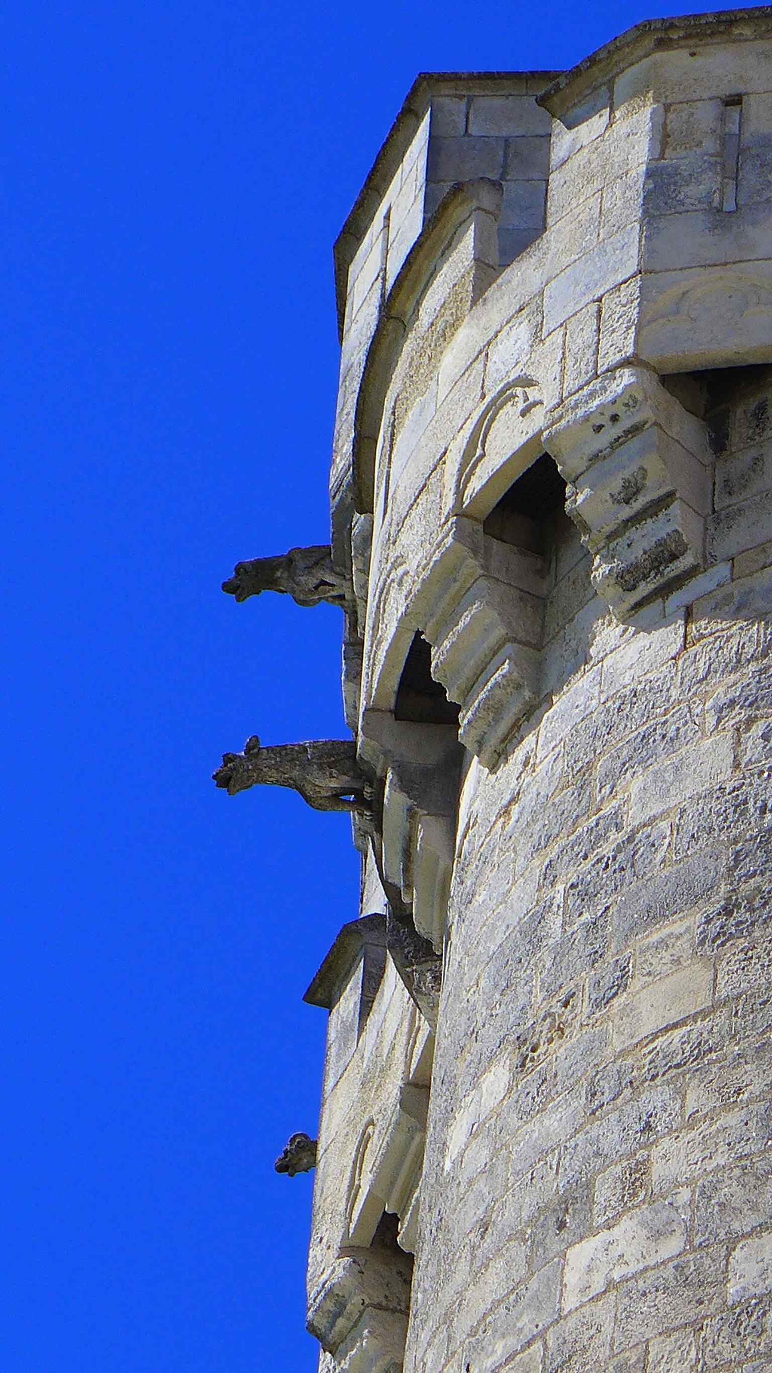 Close-up of the tower’s gargoyles, a reminder of the Gothic defenses and sculptural details preserved in later restorations.