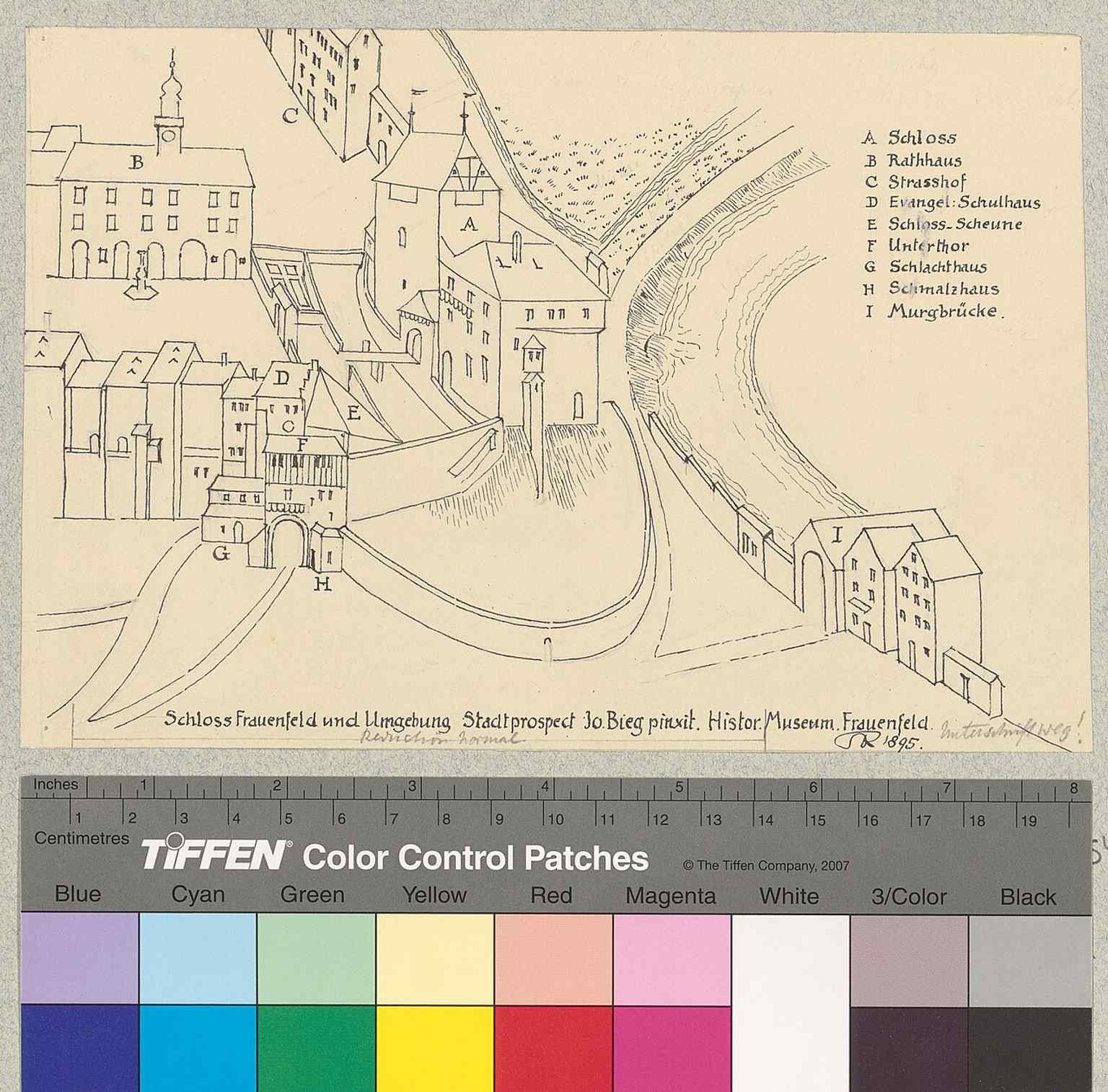 The castle and surrounding town in a historic city prospect — a good way to place the fortress above the Murg and within Frauenfeld’s old urban fabric.