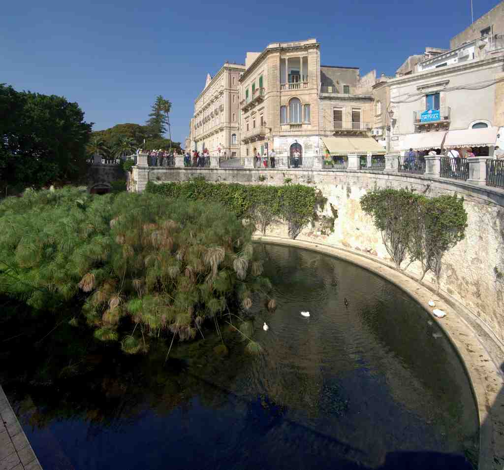 Arethusa Spring