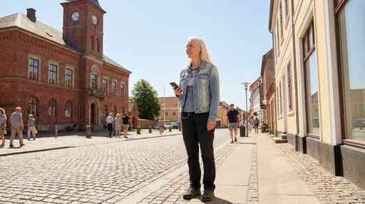 Sorø Highlights Audio Tour: Academic Heritage and Lakeside Beauty